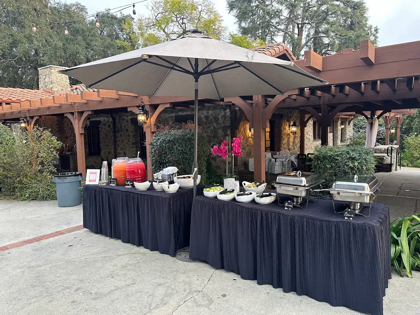 Professional taco catering buffet setup